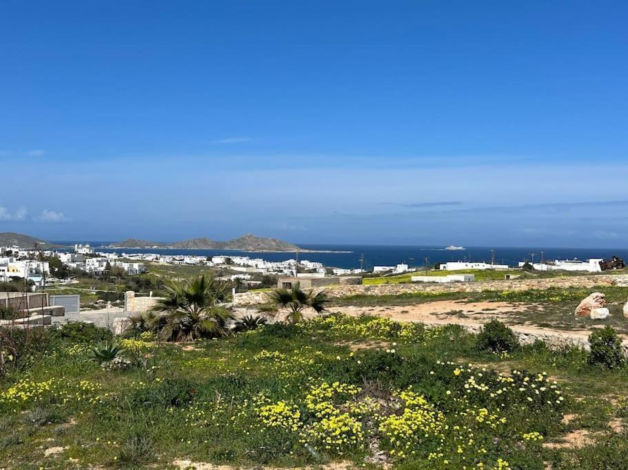 Aretousa Residence In Naoussa, Paros Eksteriør billede